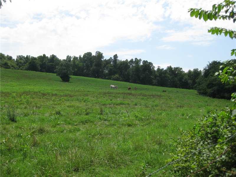 15811 Cow Face Rd, Lowell, AR 72745 - photo 1