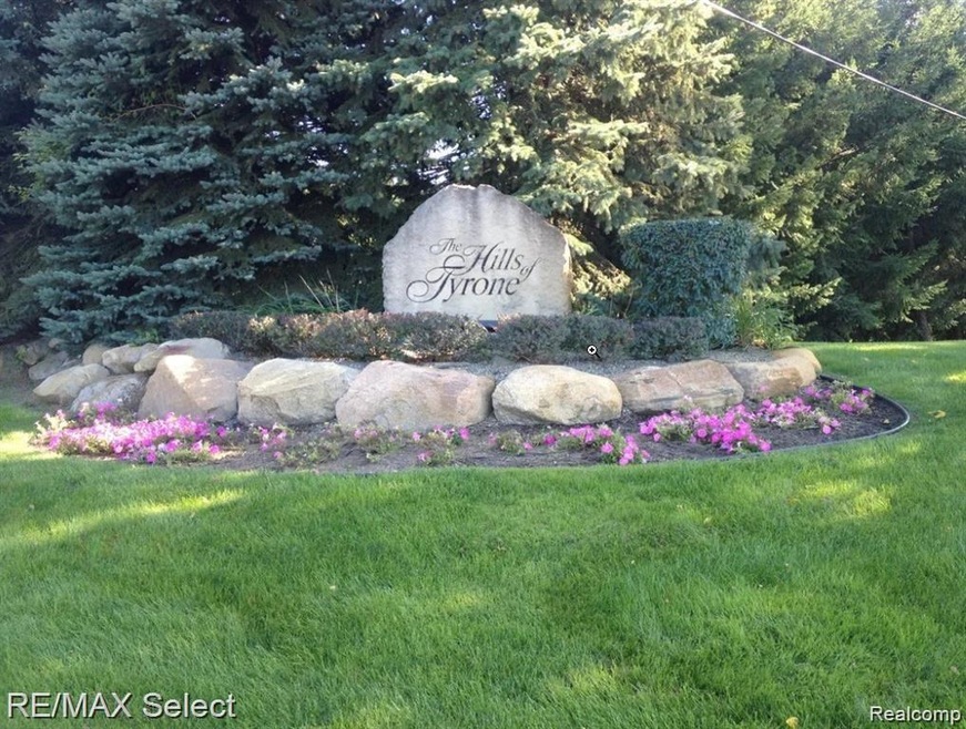 hillsoftyrone2.jpg
