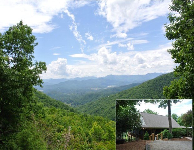 Main View