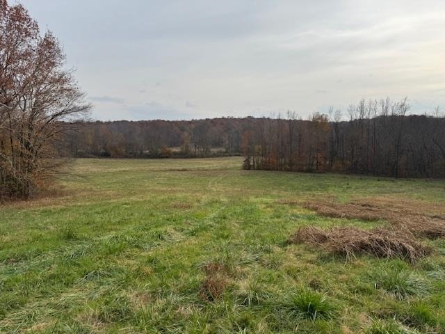 0 Keller Rd, Toone, TN 38381 - photo 1