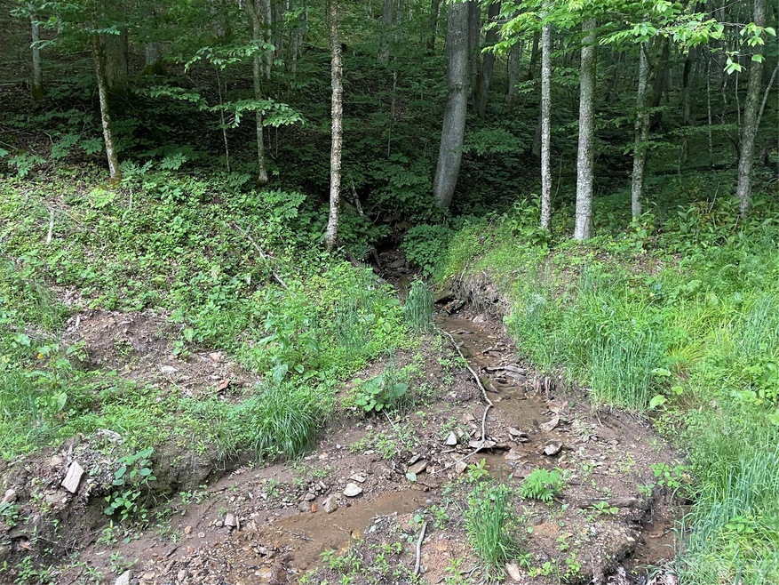 000 Chestnut Ln, Mars Hill, NC 28754 - photo 1