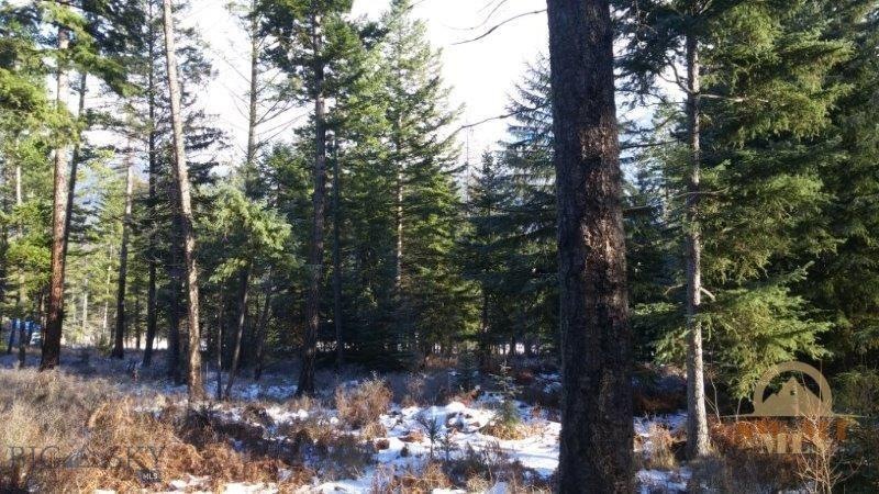 37 Lucky Creek Ln, Columbia Falls, MT 59912 - photo 1