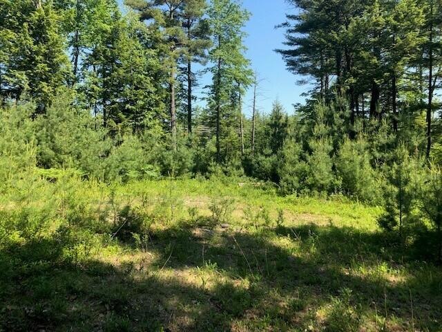 0 Dutton Hill Rd unit 1513882, Gray, ME 04039 - photo 1