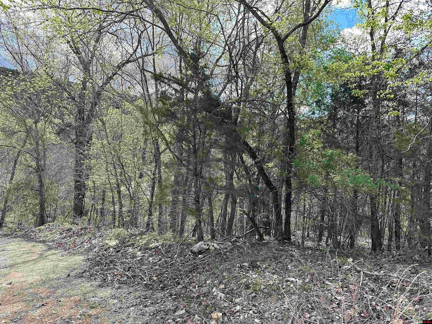 580-00005-016 Dovewood Ln, Flippin, AR 72634 - photo 1