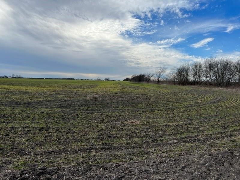 TBD Harrington Rd, Waxahachie, TX 75165 - photo 1