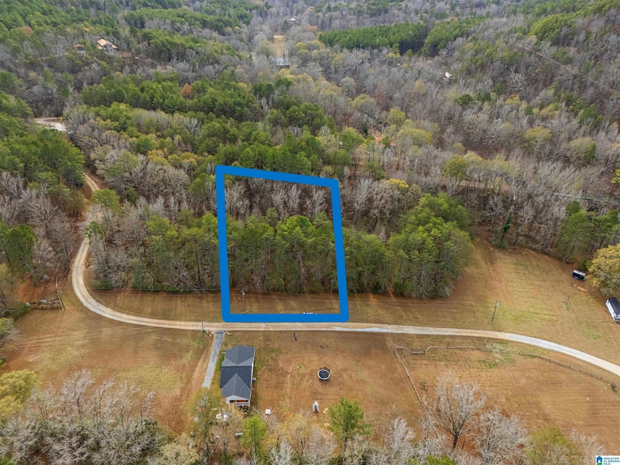 Lot 12 County Road 219, Piedmont, AL 36272 - photo 1