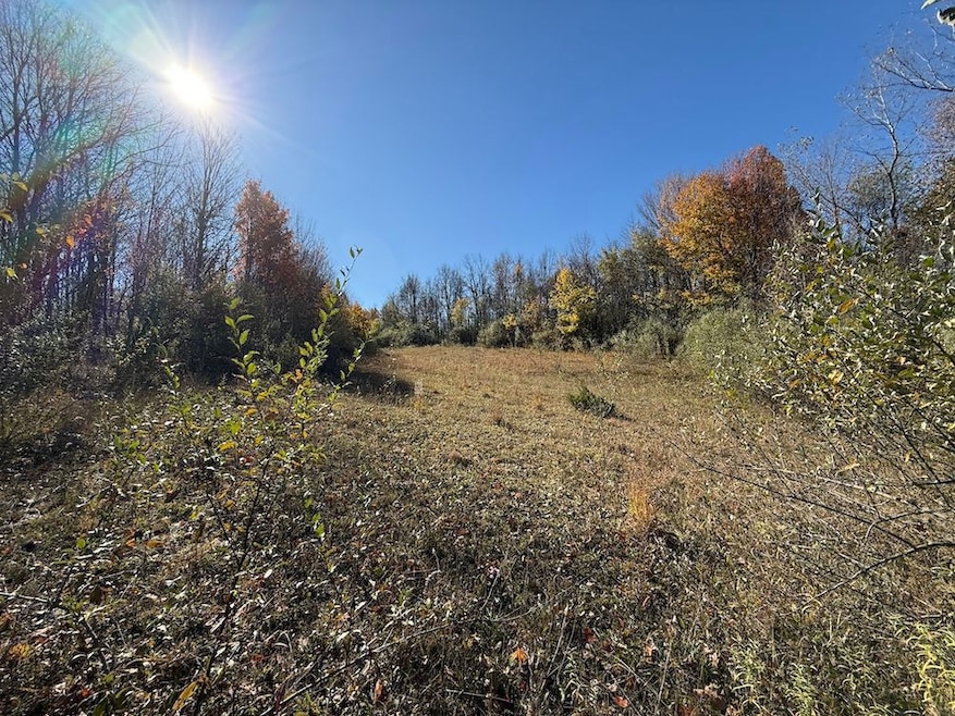 Willowdale Rd unit LotWP001, MacEdon, NY 14502 - photo 1