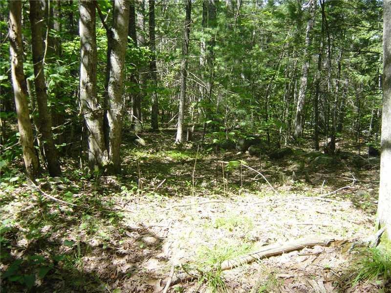 10 Eddy Rd, Edgecomb, ME 04556 - photo 1