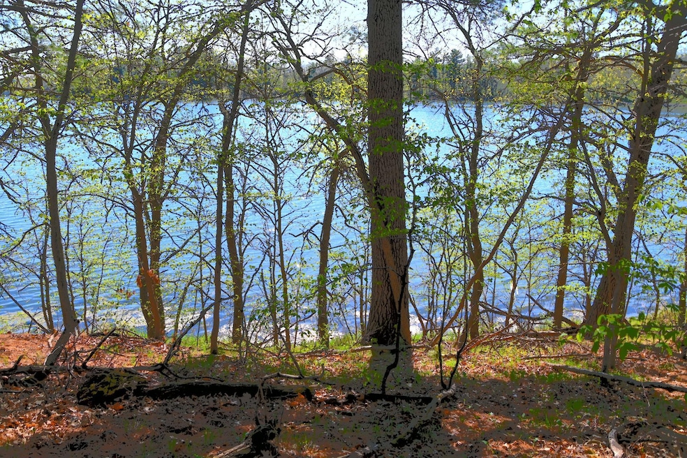 40039 County Road 17, Browerville, MN 56438 - photo 1