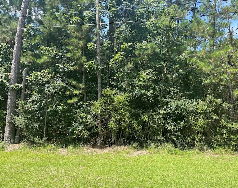Lot 19 Clear Creek Forest 11, Magnolia, TX 77355 - photo 1