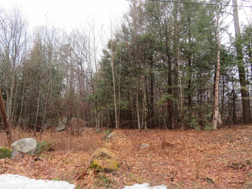 Lot # 46 (133) Black's Landing Rd, Moultonborough, NH 03254 - photo 1
