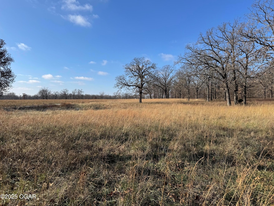 9479 S 670 Rd, Wyandotte, OK 74370 - photo 1