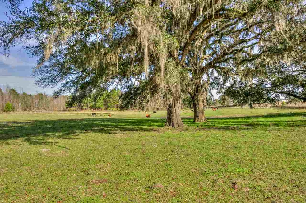 0 Egret Marsh Rd, Monticello, FL 32344 - photo 1