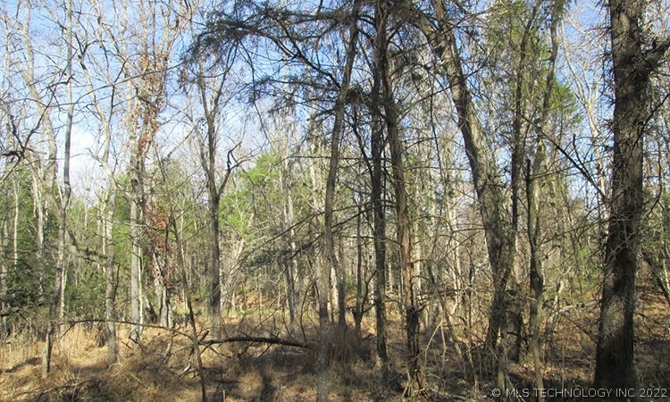 213 Alder Way, Tahlequah, OK 74464 - photo 1