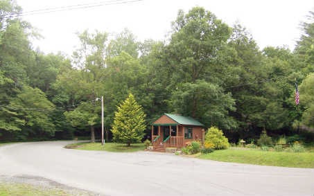 Main View