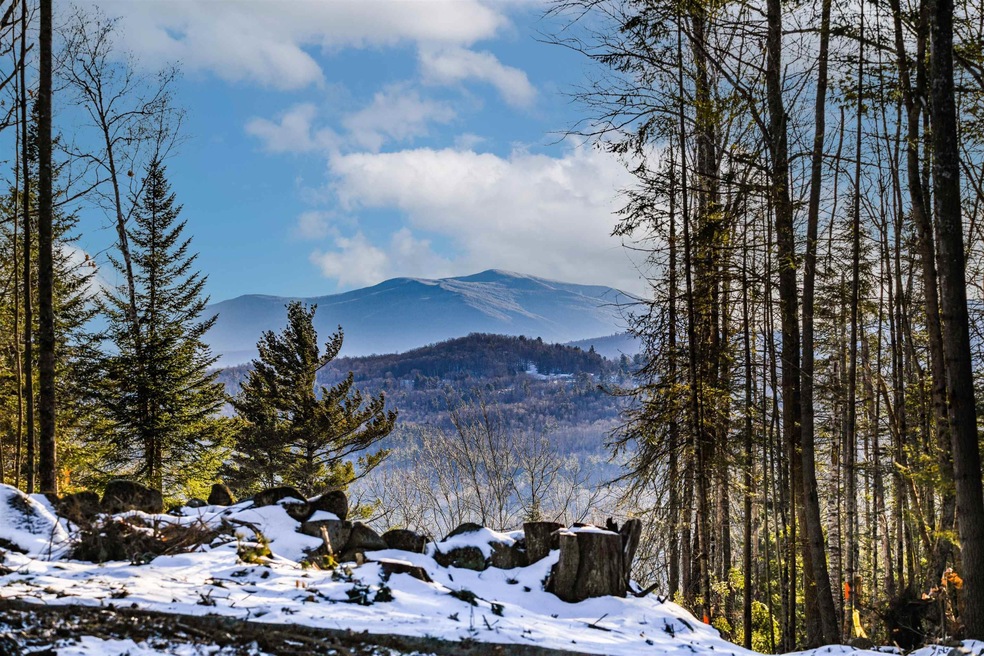 14 Bear Paw Trail unit 1-4, Littleton, NH 03561 - photo 1