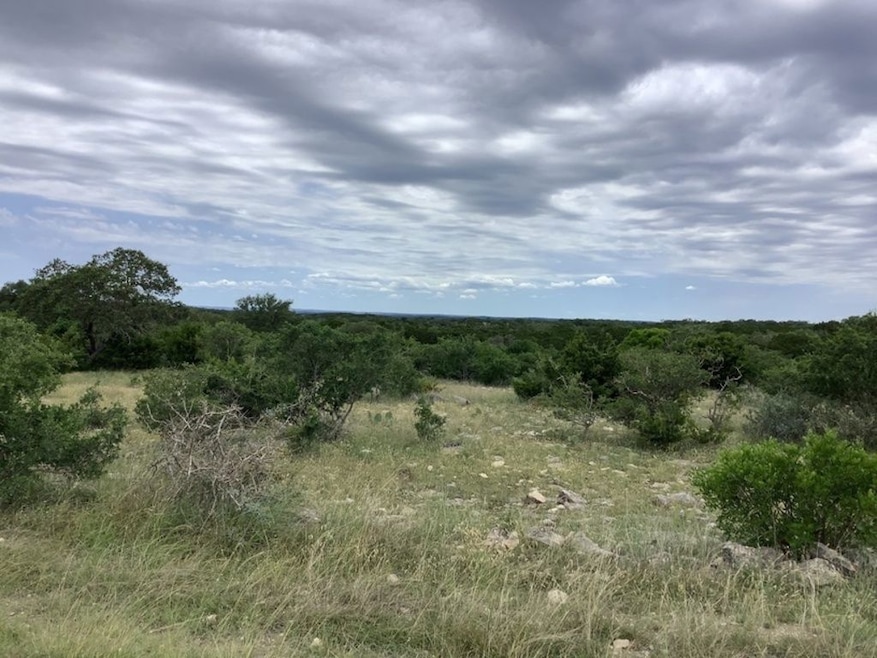 White Mountain Rd, Rocksprings, TX 78880 - photo 1