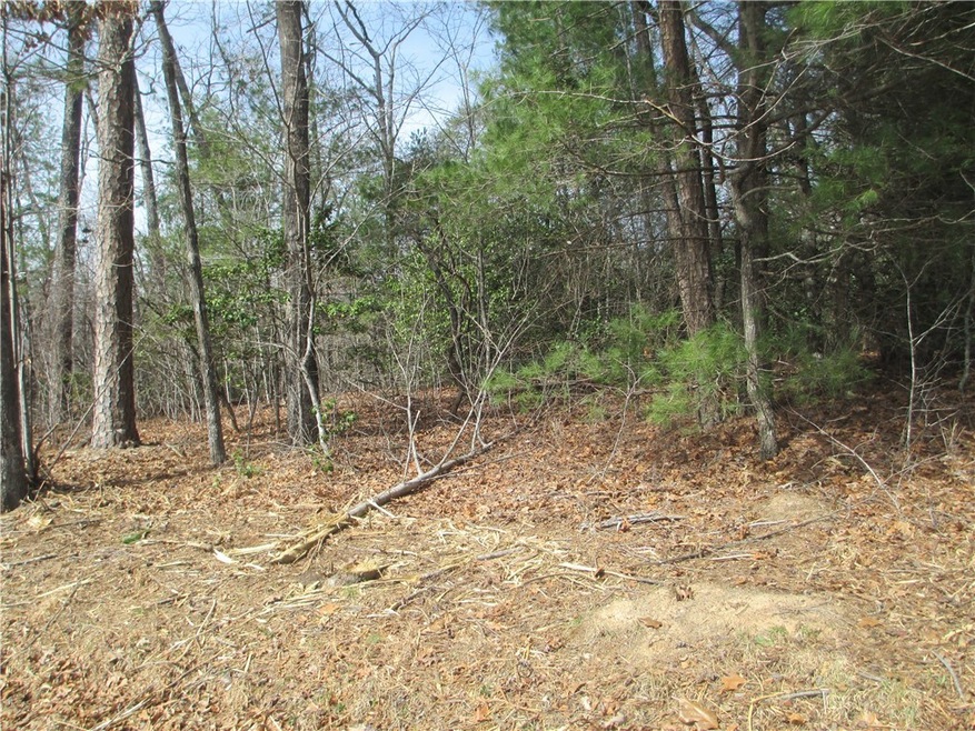 None W H 7, Tamassee, SC 29686 - photo 1