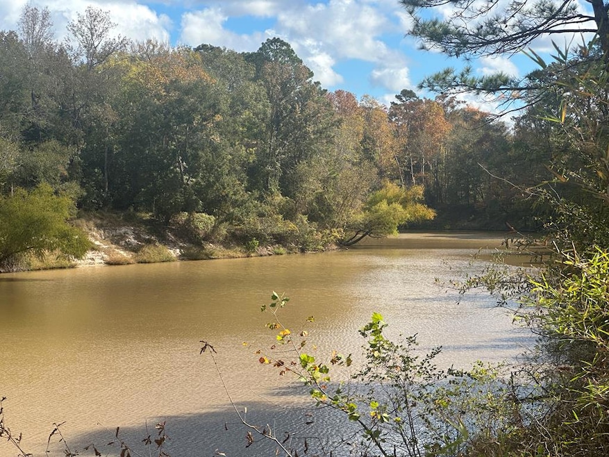 TBD Sam Rayburn Pkwy, Jasper, TX 75951 - photo 1