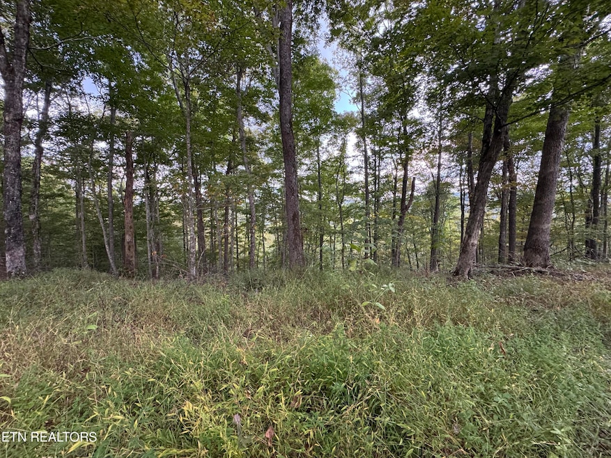 For Sale $239,000 • Co-Listing Agent