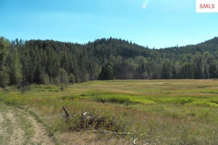 Acreage Is The Treed Knob, If Trees Were Thinned W