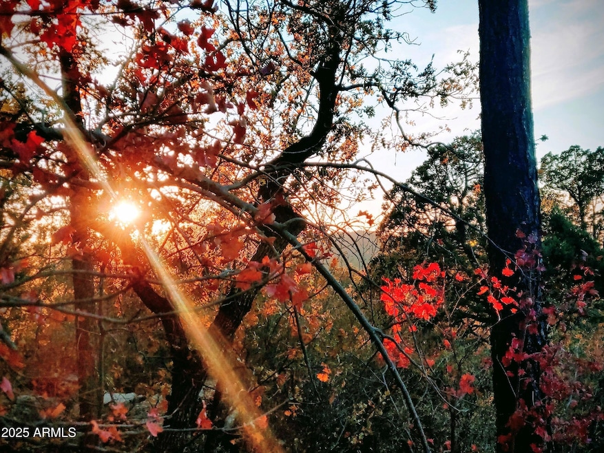 92 W Ralls Drive -- unit 92, Strawberry, AZ 85544 - photo 1