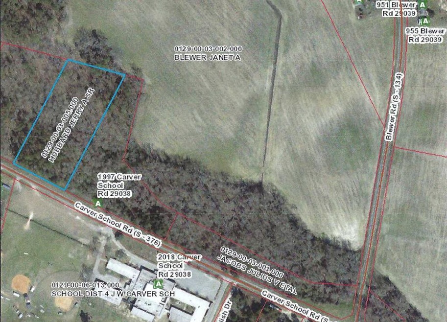 0 Carver School Rd unit 24022381, Cope, SC 29038 - photo 1