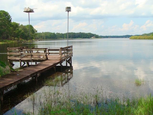 Your Personal Paradise!