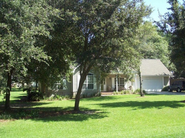 Main View