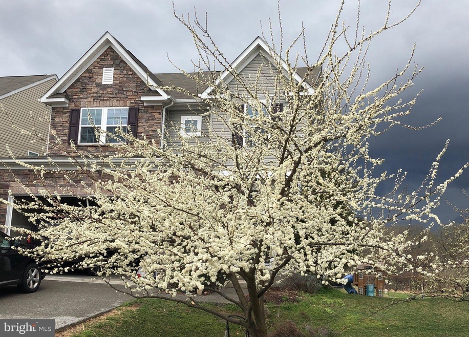 5020 Summer Solstice Place, Ellicott City, MD 21043 - photo 1