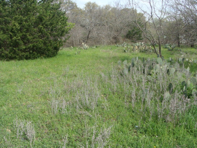 608 W Live Oak St unit 2, Fredericksburg, TX 78624 - photo 1