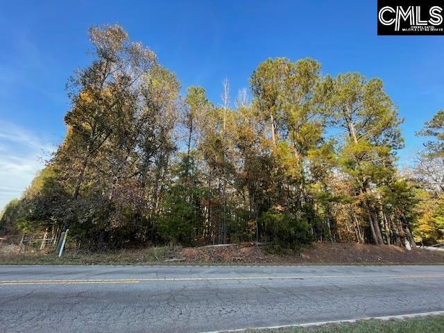 1620 Washington Lever Rd, Little Mountain, SC 29075 - photo 1