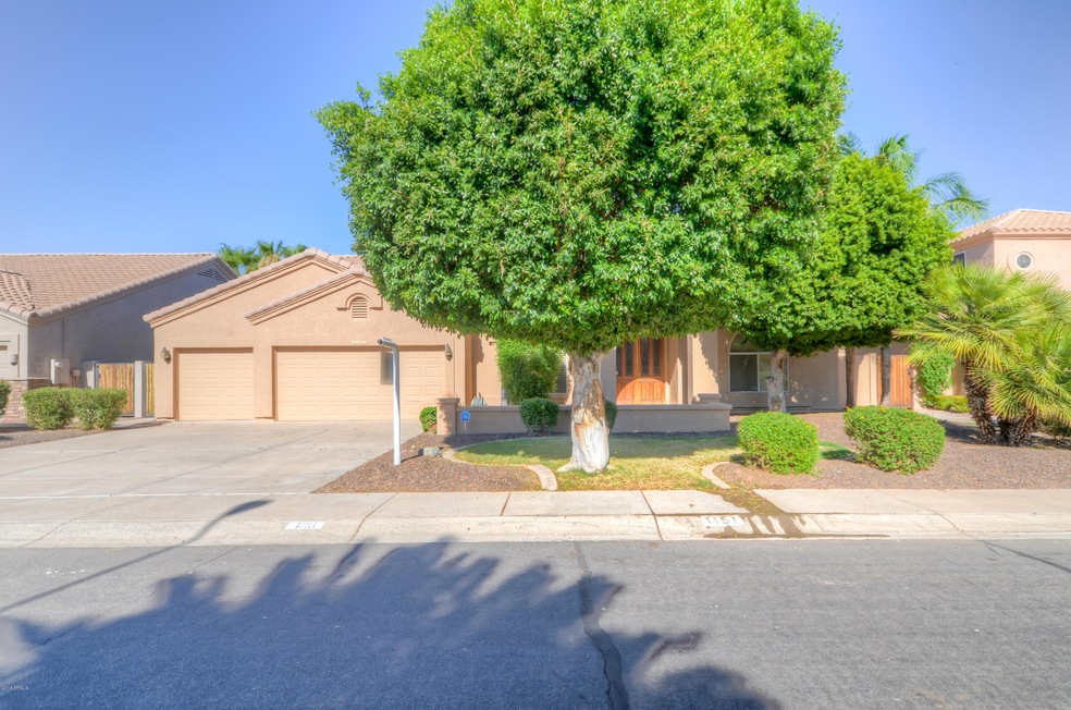 1151 N Fir St, Chandler, AZ 85226 - photo 1