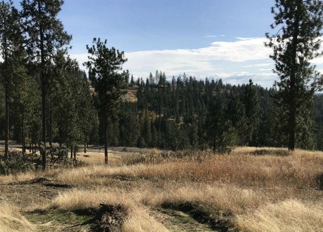 15501 N Adeline Ln, Spokane, WA 99208 - photo 1