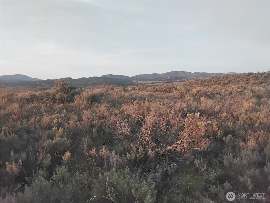 0 Paradise Point Rd unit NWM2455797, Tonasket, WA 98855 - photo 1