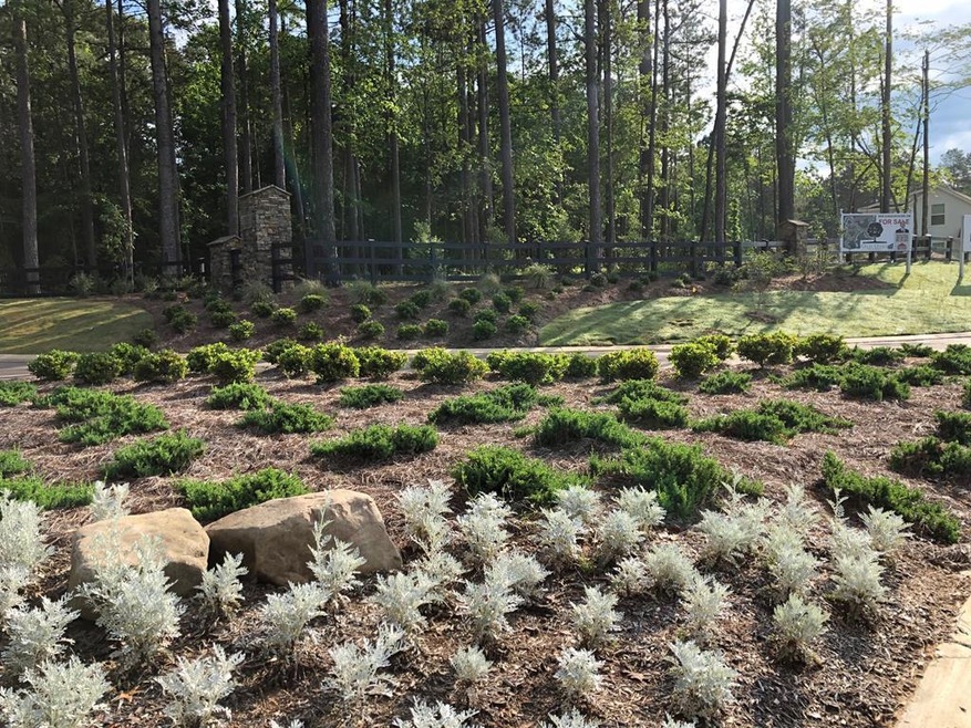 423 Live Oak Dr, Oxford, MS 38655 - photo 1