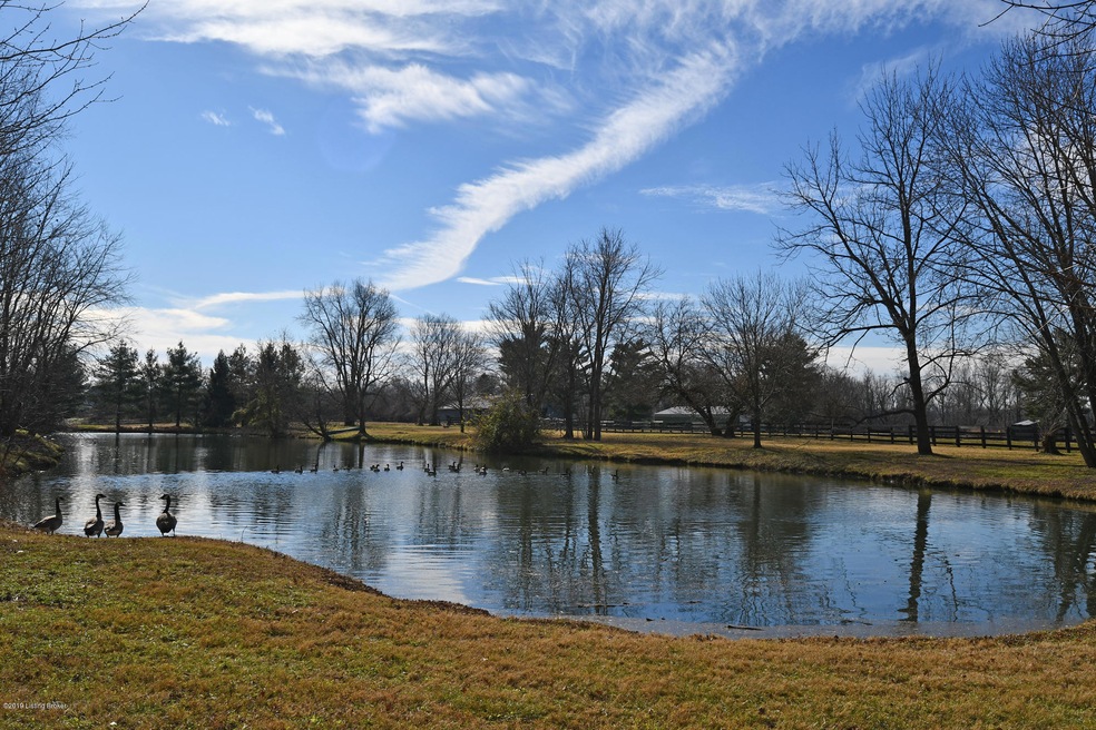Lake-1