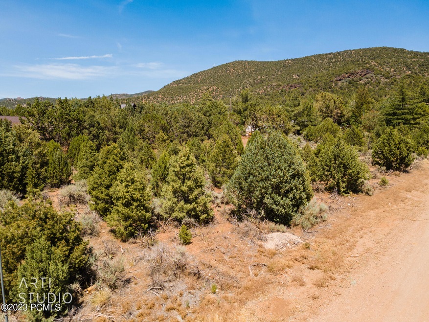 Dixie Deer Estates DDE-1-6-15 9