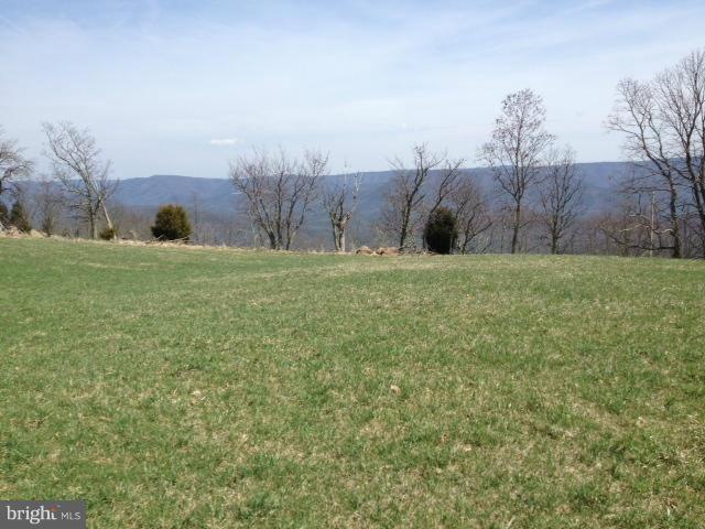 0 Mitchel Mountain unit 1002874928, Upper Tract, WV 26866 - photo 1