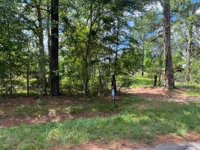 TBD Pinewood Valley, Hockley, TX 77447 - photo 1