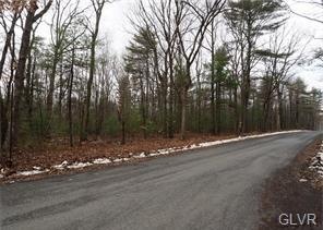 0 Rabbit Run Rd unit 570094, Andreas, PA 18211 - photo 1