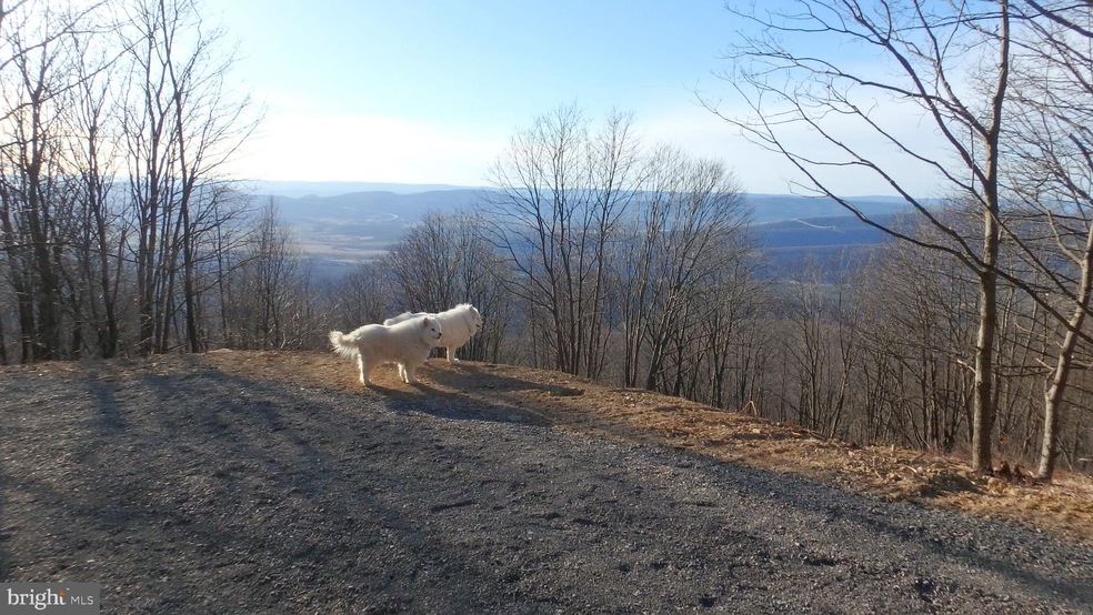 Lot 256 S Branch Mountain Rd, Moorefield, WV 26836 - photo 1