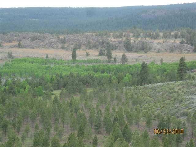Primary Photo
