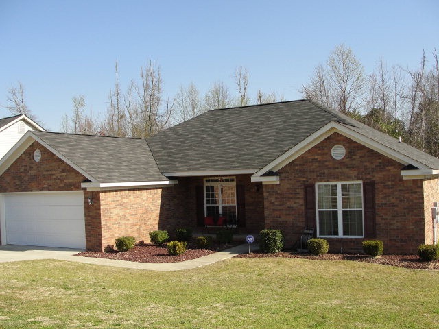 Main View