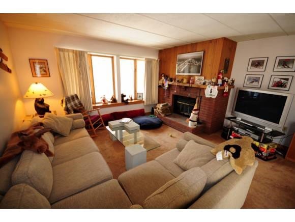 13E Snow Tree Ln unit E, West Dover, VT 05356 - photo 1