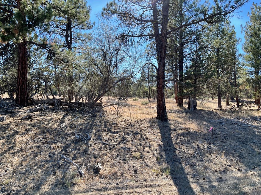 1.27 Acres ~Klamath Country ~ Pines