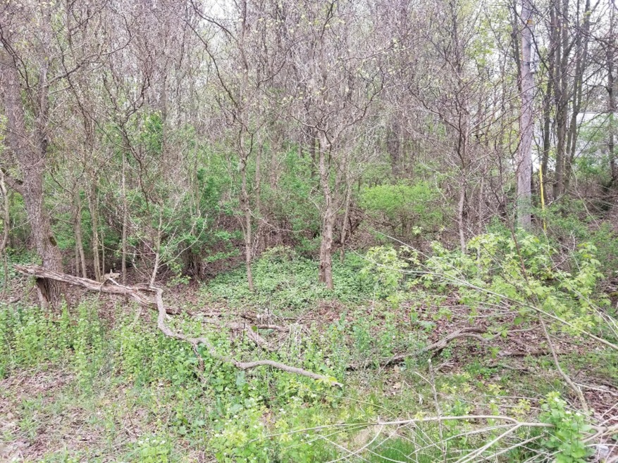 20190511_084818