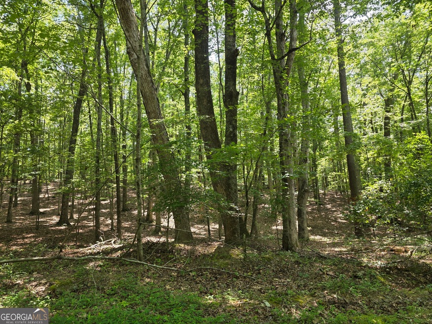 0 Cobb Mountain Rd unit 10564950, Buchanan, GA 30113 - photo 1