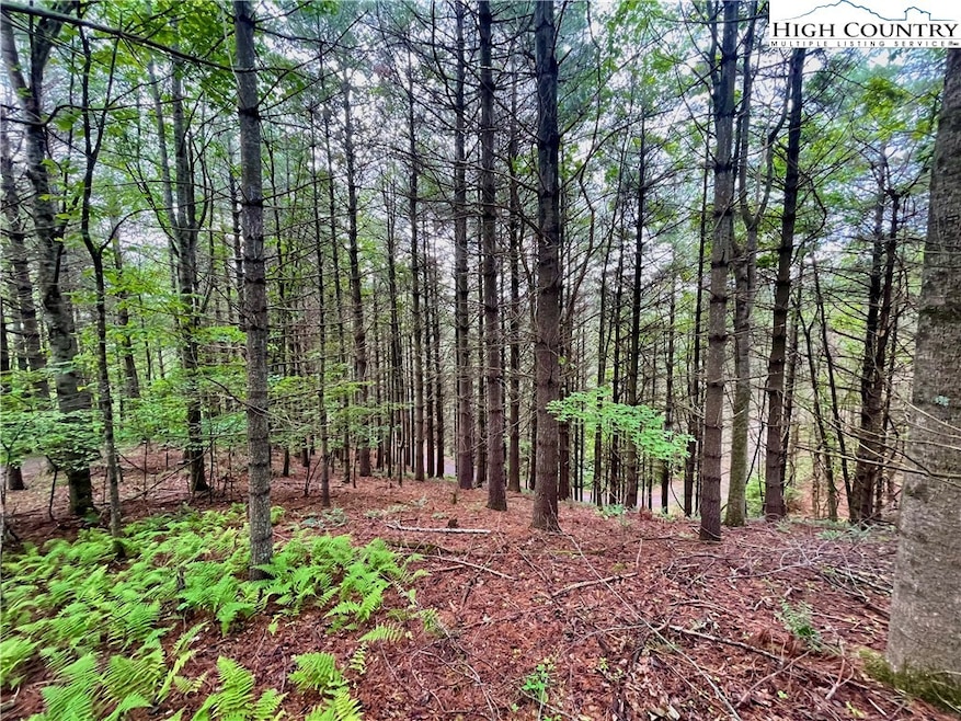 TBD Daniel Pierce Rd, West Jefferson, NC 28694 - photo 1