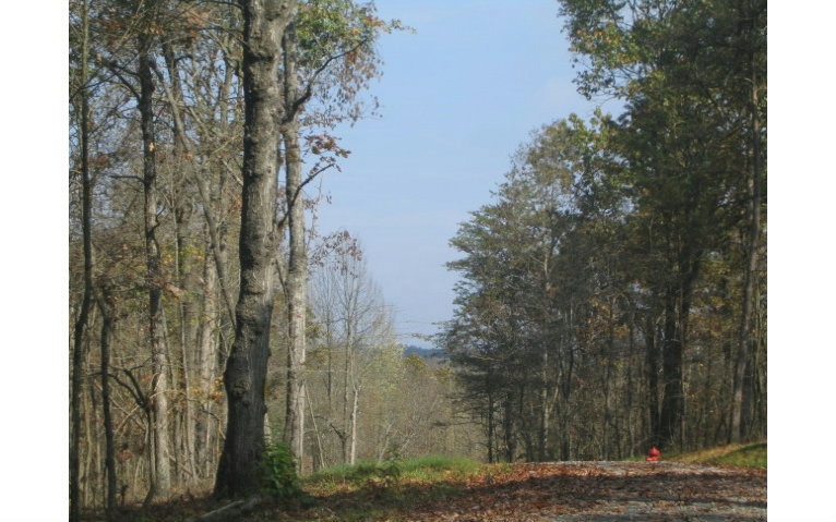 Main View